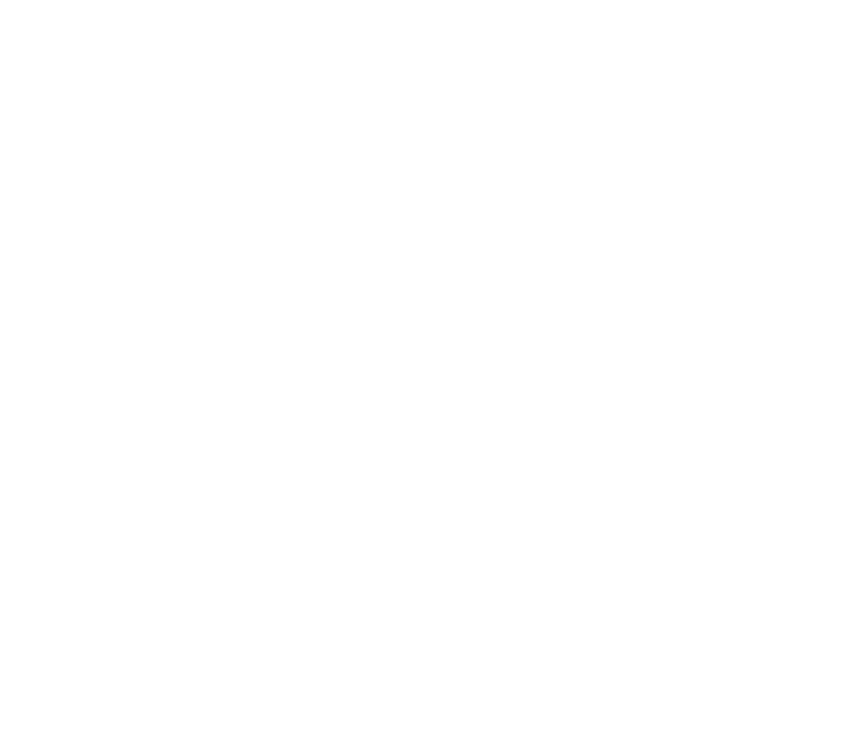 Challenged Athletes Foundation